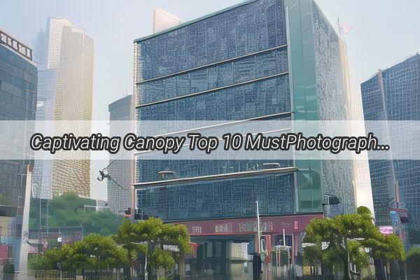 Captivating Canopy Top 10 MustPhotograph Trees in the Heart of Guangzhou